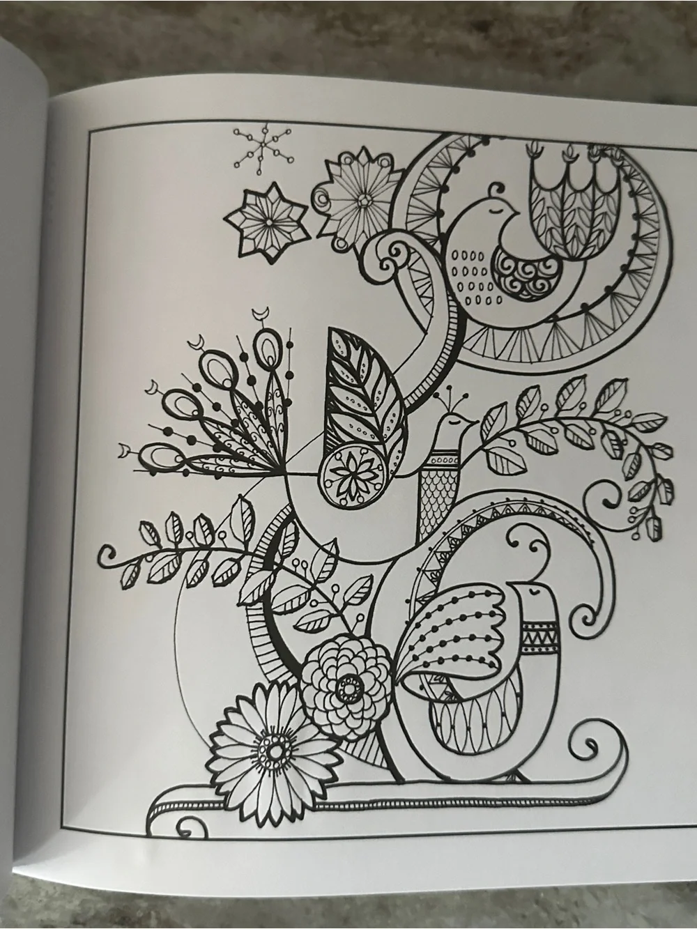 Hallmark The Art of Happiness Coloring Book